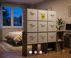 Storage Cubes 11 Inch